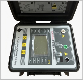 TLHG-2010S智能双显绝缘电阻测试仪